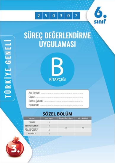 Nartest 6. Sınıf Süreç Değerlendirme Mart B Söz Kod 250307